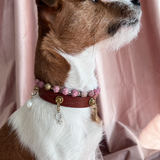 Female Charm - The Venus Sign | For Your Dog