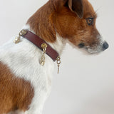 Unleash CPH Destiny Path Dog Collar - X-small