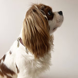 Freedom Charm - The Feather | For Your Dog