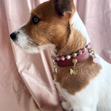 Hope Charm - The Butterfly | For Your Dog
