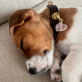 Love Charm - Rose Quartz | For Your Dog