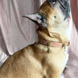Independant Charm - The Owl | For Your Dog