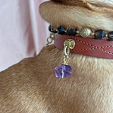 Calm Charm - Amethyst Crystal | For Your Dog