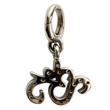 Ohm Charm | For Your Dog
