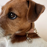 Peace Charm | For Your Dog