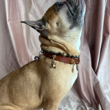 Potential Charm - The Frog | For Your Dog