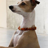 Protection Dog Necklace