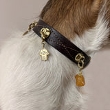 Protection Charm - The Hamsa Hand | For Your Dog
