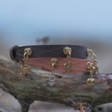 Male Charm - The Mars Sign | For Your Dog