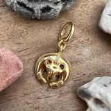 Hero Charm - The Bear | For Your Dog