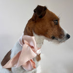 Unleash CPH Blush Silk Bow