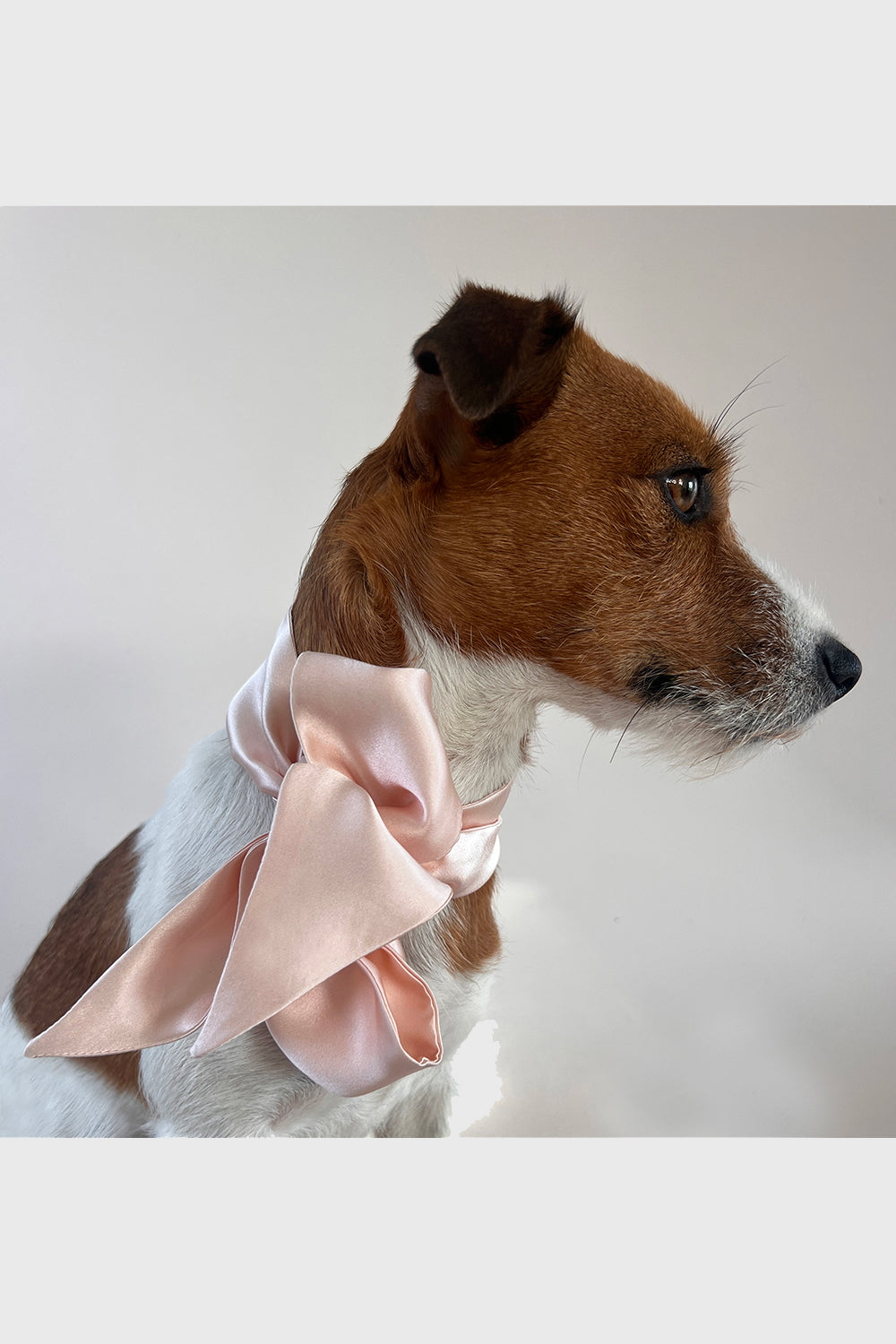 Unleash CPH Blush Silk Bow