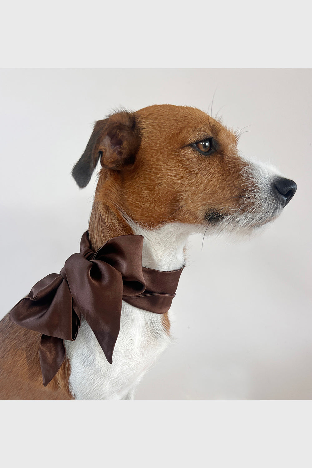 Unleash CPH Cocoa Silk Bow