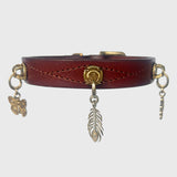 Unleash CPH Destiny Path Dog Collar - Small