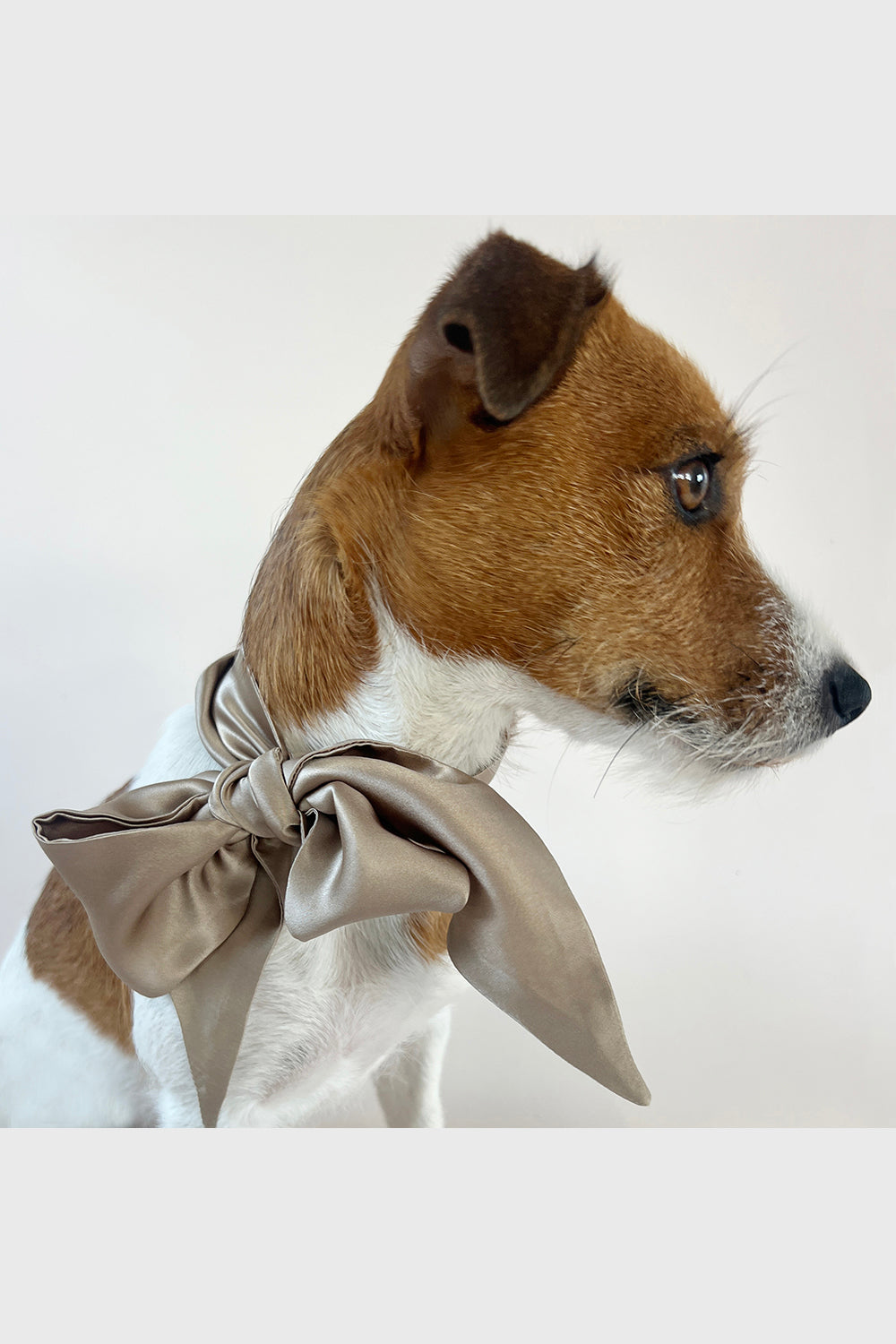 Unleash CPH Dune Silk Bow