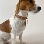 Unleash CPH Ever Bloom Dog Collar - Small