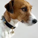 Unleash CPH Infinite Heart Dog Collar - Large