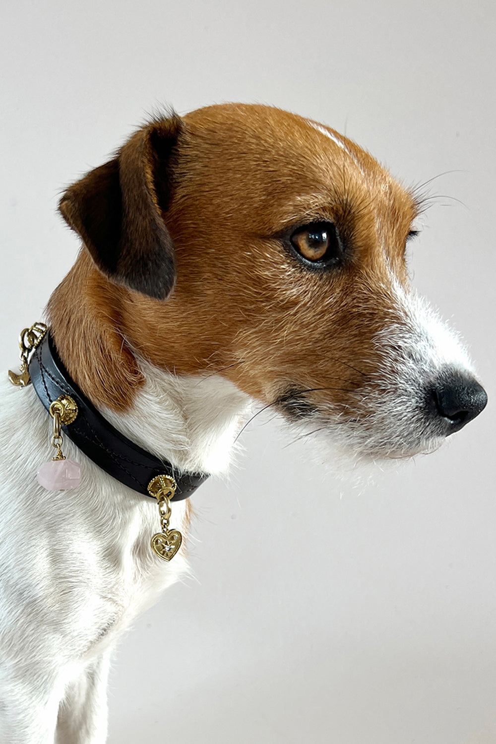 Unleash CPH Infinite Heart Dog Collar - Medium