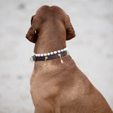 Balance Dog Necklace