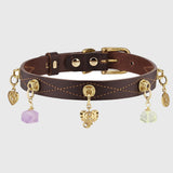 Dark Brown Dog Collar