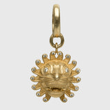 Courage Charm - The Lion | For Your Dog