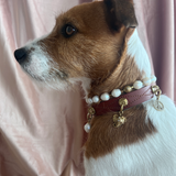 Wisdom Charm - The Elephant | For Your Dog