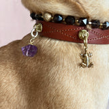 Potential Charm - The Frog | For Your Dog