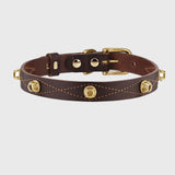 Dark Brown Dog Collar