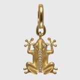 Potential Charm - The Frog | For You