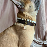 Happiness Charm - Lemon Quartz | For Your Dog