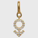 Male Charm - The Mars Sign | For You