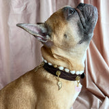 Growth Charm - The Leaf | For Your Dog