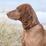 Giving Charm - The Hand | For Your Dog