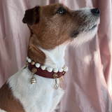 Transformation Charm - Snake & Pearl | For Your Dog