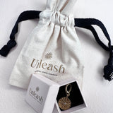 Unleash Charm - The Superstar | For Your Dog