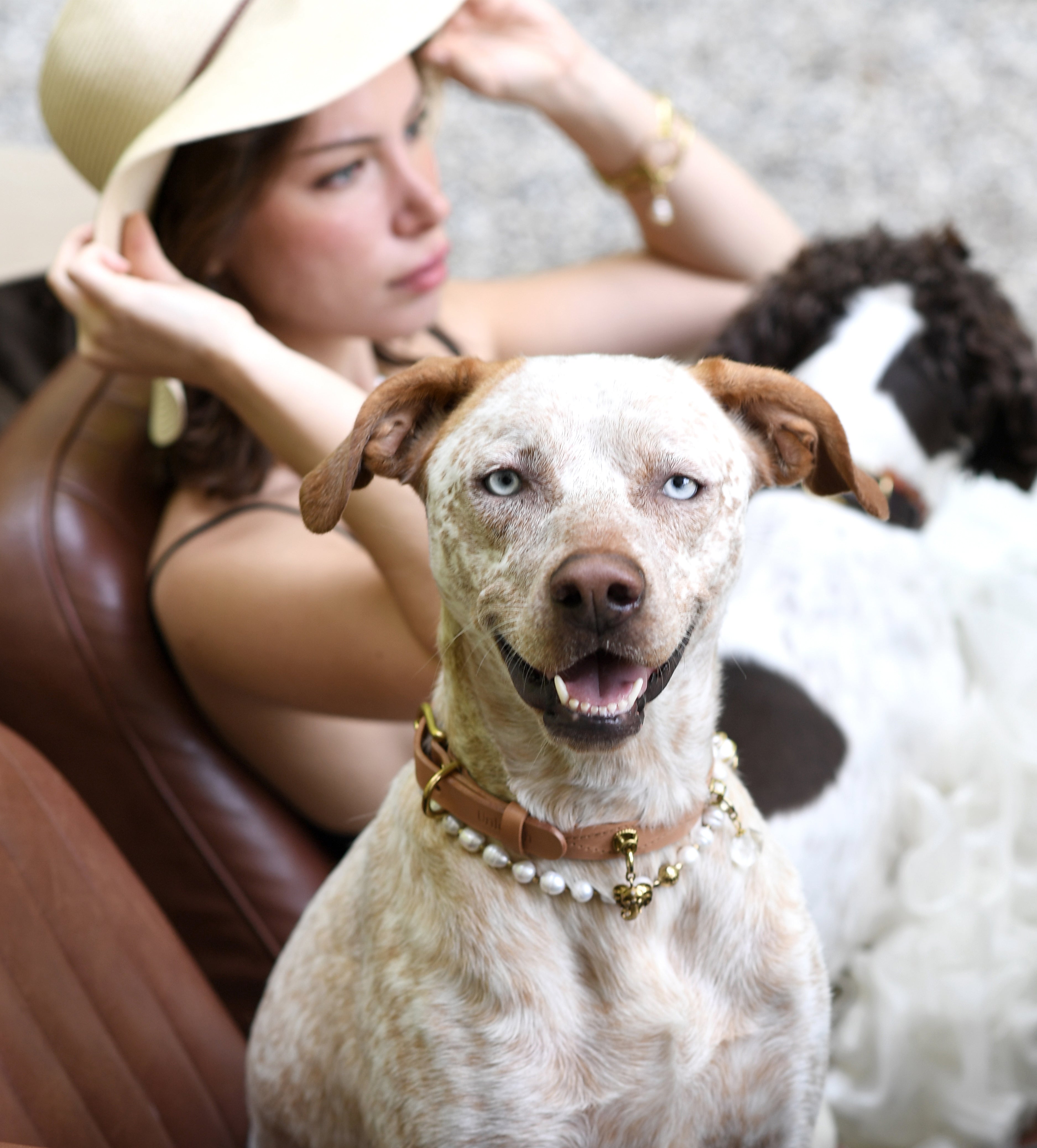 How dog fashion is shaping modern society