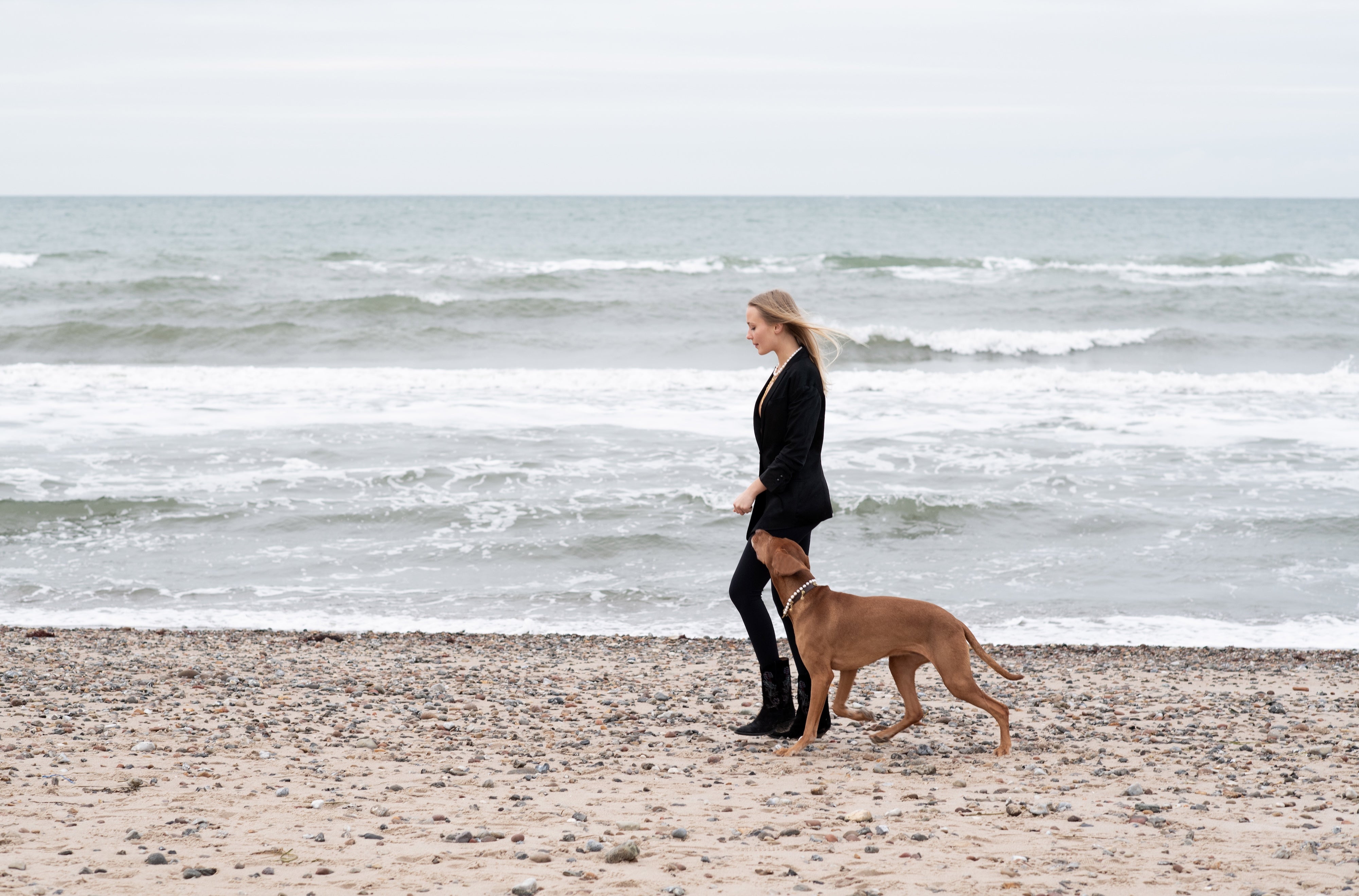 The Ritual of Walking Your Dog