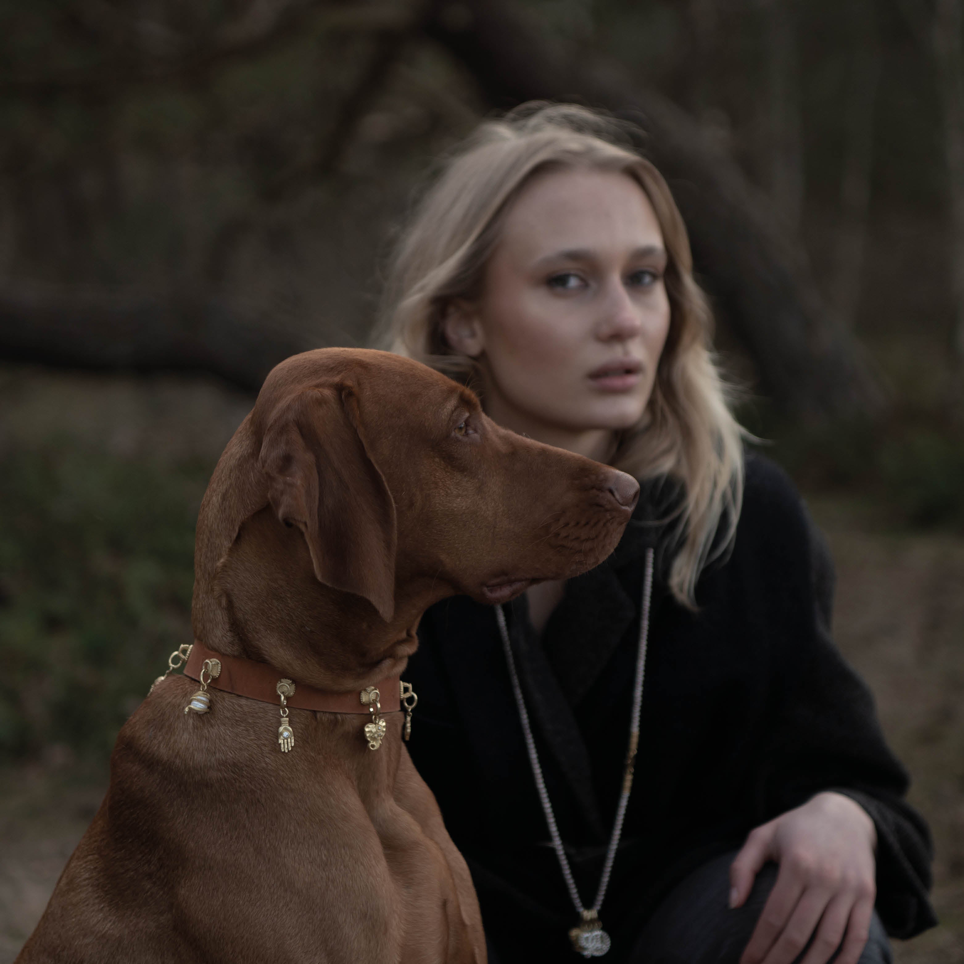 Your Dog is Your Spiritual Guide