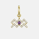 Aquarius Charm