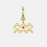 Aquarius Charm