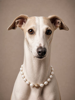Balance Pearl Dog Necklace