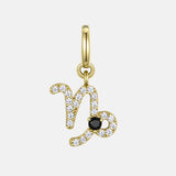 Capricorn Charm