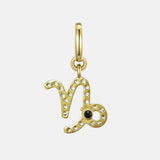 Capricorn Charm