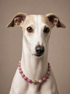 Compassion Dog Necklace