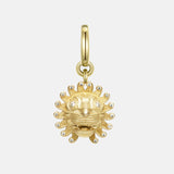 Courage Charm