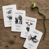 Devine Dog Oracle Cards