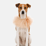 Grace Tulle Ruff