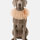 Grace Tulle Ruff