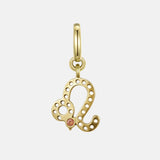 Leo Charm