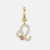 Leo Charm